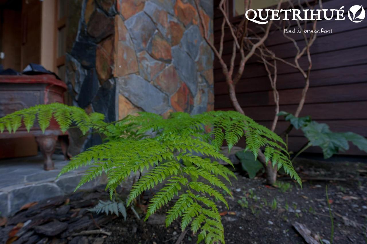 Bed and Breakfast Quetrihue à Puerto Varas Extérieur photo